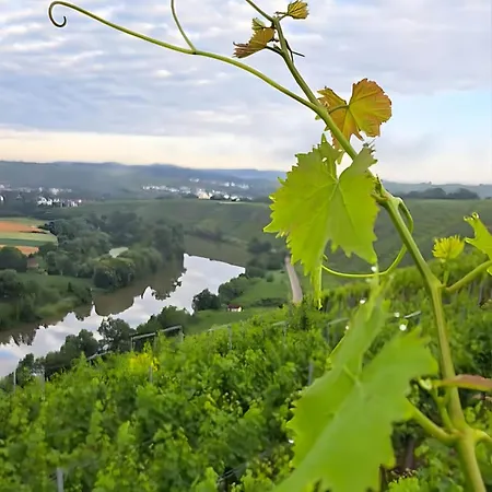 Schoene Aussicht Gemmrigheim